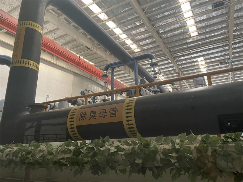 图片35.jpg